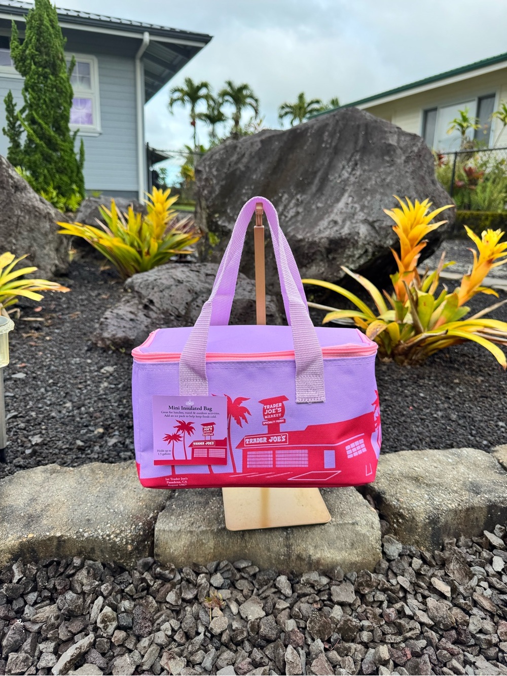 Trader Joe’s NWT Mini Insulated Lunch Tote Cooler Bag Lavender Pink